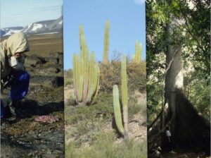 Tundra, desert, and rainforest habitats