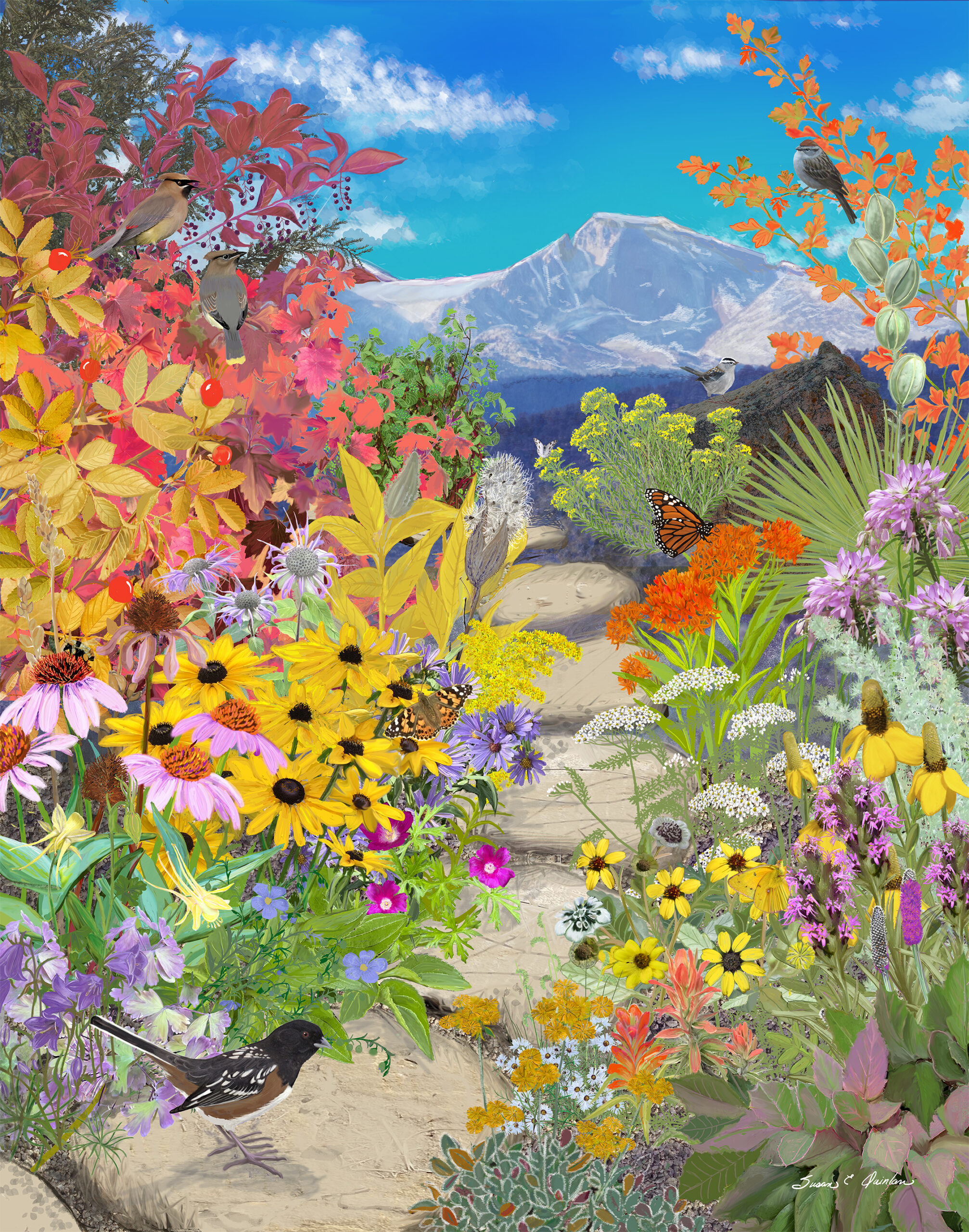 Autumn Through the Seasons Artwork