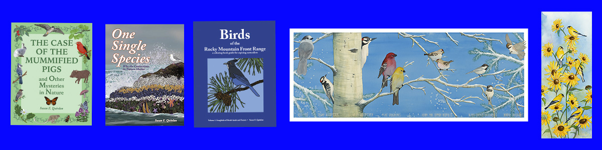 Sample books and art by Susan E. Quinlan