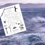 Crossword puzzle in front of photo of wind-blown ocean waves
