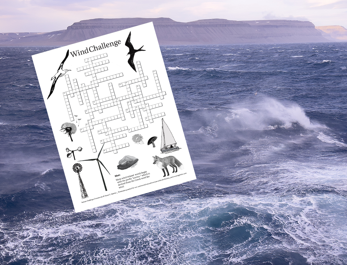 Crossword puzzle in front of photo of wind-blown ocean waves 